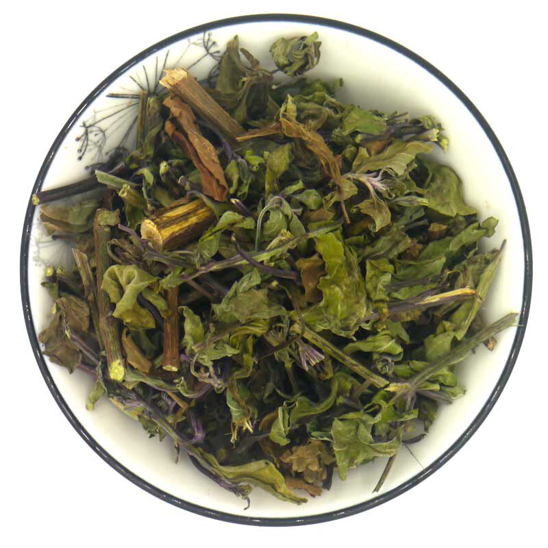 野生新货云南西双版纳溶石猫须草