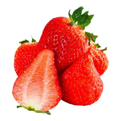 草莓农彩汇新鲜采摘丹东99