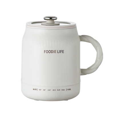 便携式电热杯旅行电煮杯宿舍烧水壶热牛奶养生电炖杯办公室加热杯