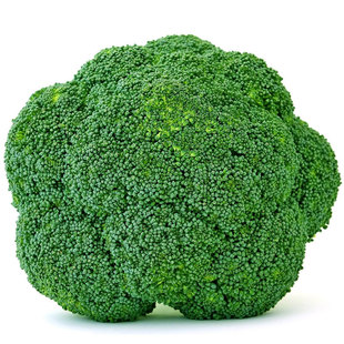 包菜大全甘蓝牛心松花菜青苤阳台盆栽耐寒卷心菜秋种高产蔬菜种子