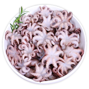 小八爪鱼鲜活生鲜火锅食材串串半成品小章鱼冷冻批发商用鱿鱼