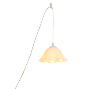 心灯花朵插电吊灯床上用悬挂宿舍上铺床头灯小夜灯挂灯寝室灯学习