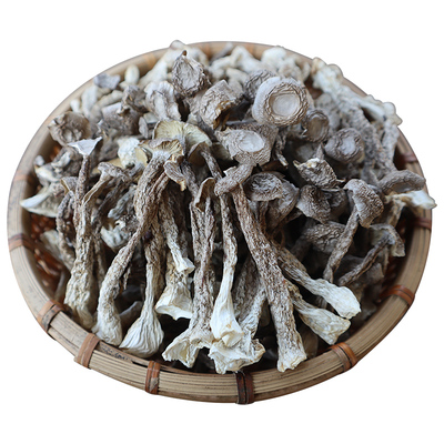 粤北韶关农家鹿茸菇爽口