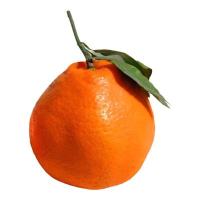 顺丰现货特甜正宗春见耙耙柑多汁