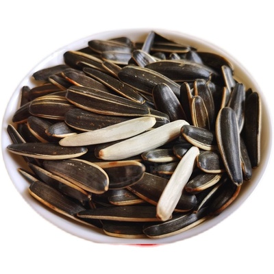 新货黑色象牙瓜子500g管良