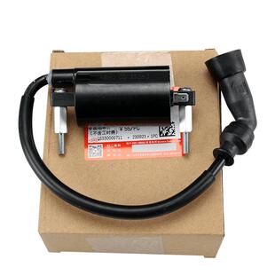 适用豪爵原装GSX250 GW DL250 DR300点火线圈高压包高压帽点火器