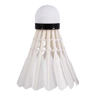 亚狮龙rsl羽毛球大桐利系列D81飞行稳定鸭毛训练耐打鹅毛球D82/84