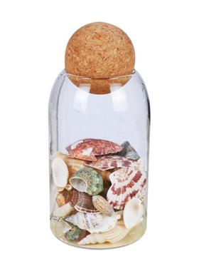 储物贝壳海螺密封玻璃瓶家居装饰