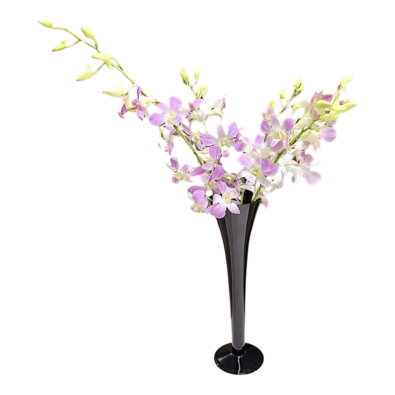 洋兰千代兰家用小众鲜花室内插花