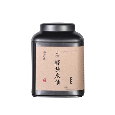 凤凰单丛茶水仙单株采摘