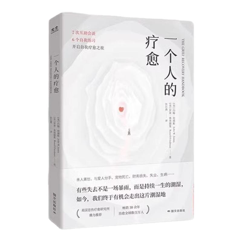 一个人的疗愈正版书籍樊登推荐