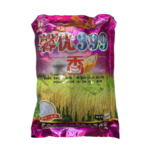 国标一级香米馨优399水稻种子口感软糯高产500克抗倒
