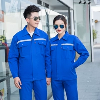 Ярко -синий [C Pure Cotton Model]