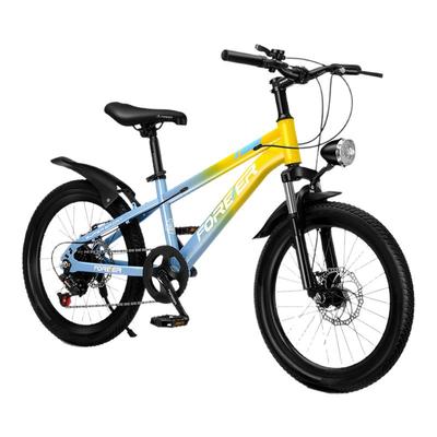 永久青少年小学生儿童山地自行车20/22寸变速男女单车中大童代步