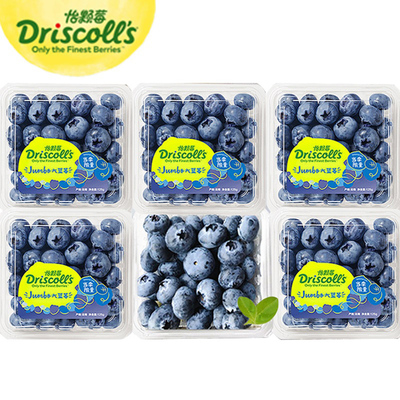 10w+购买！怡颗莓蓝莓榜单品牌