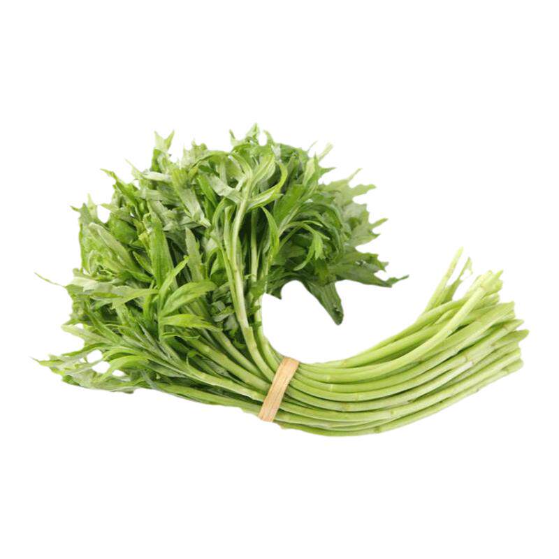 芦蒿新鲜现摘藜蒿带叶蔬菜