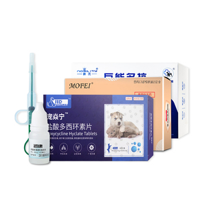 猫鼻支猫咪喷嚏流眼泪鼻涕肺炎咳嗽感冒杯状猫用疱疹病毒治疗套餐