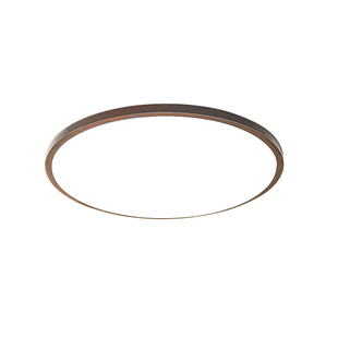 实木农村自建房屋檐吸顶灯庭院户外阳台室外别墅大门门口照明灯具