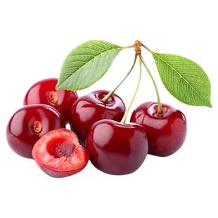 大樱桃树苗车厘子树苗盆栽矮化南方北方苗树四川老品种东北大连小