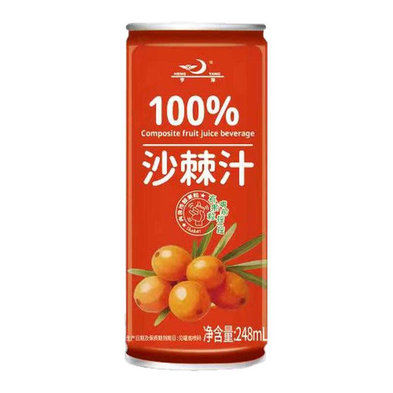 100%沙棘原浆果汁240ml整箱