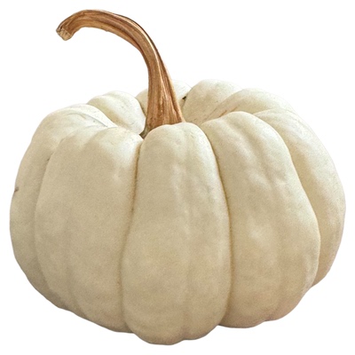 正宗奶油贝贝南瓜现摘老南瓜惠和一号白雪小南瓜软糯甜白贝贝南瓜