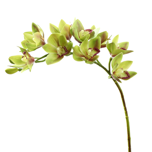 仿真大枝蕙兰花高档手感保湿蝴蝶兰室内摆放花盆景插花假花婚庆花