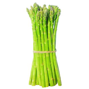 山东芦笋新鲜5斤嫩绿青芦笋尖鲜芦笋高端特大级现挖野生芦笋卢笋