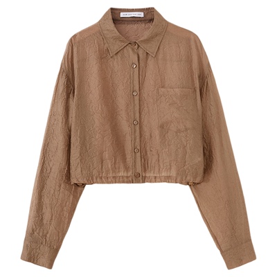 水云间半透褶皱肌理衬衫女式空气感短款外套长袖上衣咖色衬衣2025