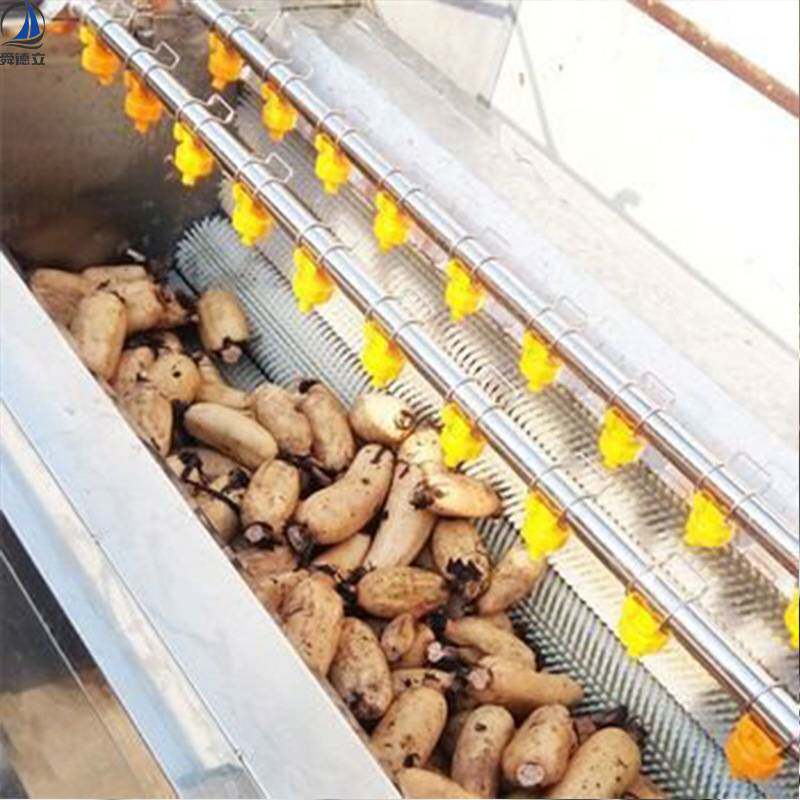 桔梗沙参玛卡三七清洗去泥毛辊清洗机 花生地环荠菜宝塔菜去泥机