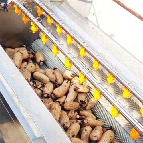 桔梗沙参玛卡三七清洗去泥毛辊清洗机 花生地环荠菜宝塔菜去泥机