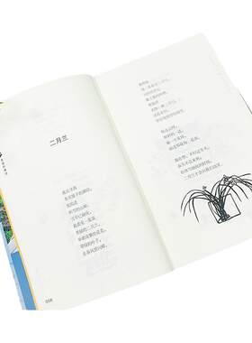 写给童年柔软阳光金波诗歌启蒙