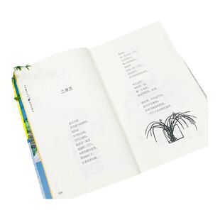 写给童年的诗 柔软的阳光 金波著 诗歌启蒙儿童抒情诗集文学 6-10-12周岁中小学生课外阅读小学生三年级课外阅读书目