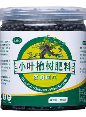 花壮缘小叶榆树肥促生长不黄叶