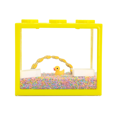 寄居蟹饲养套餐沙蟹灰白短腕桌面