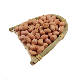 【黑山特产】2025小白沙生花生带壳晒干带壳生花生粉红皮新鲜干货