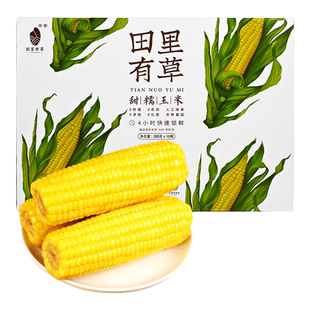 田里有草礼盒装甜黄糯新鲜东北非转基因玉米真空袋装早餐代餐糯