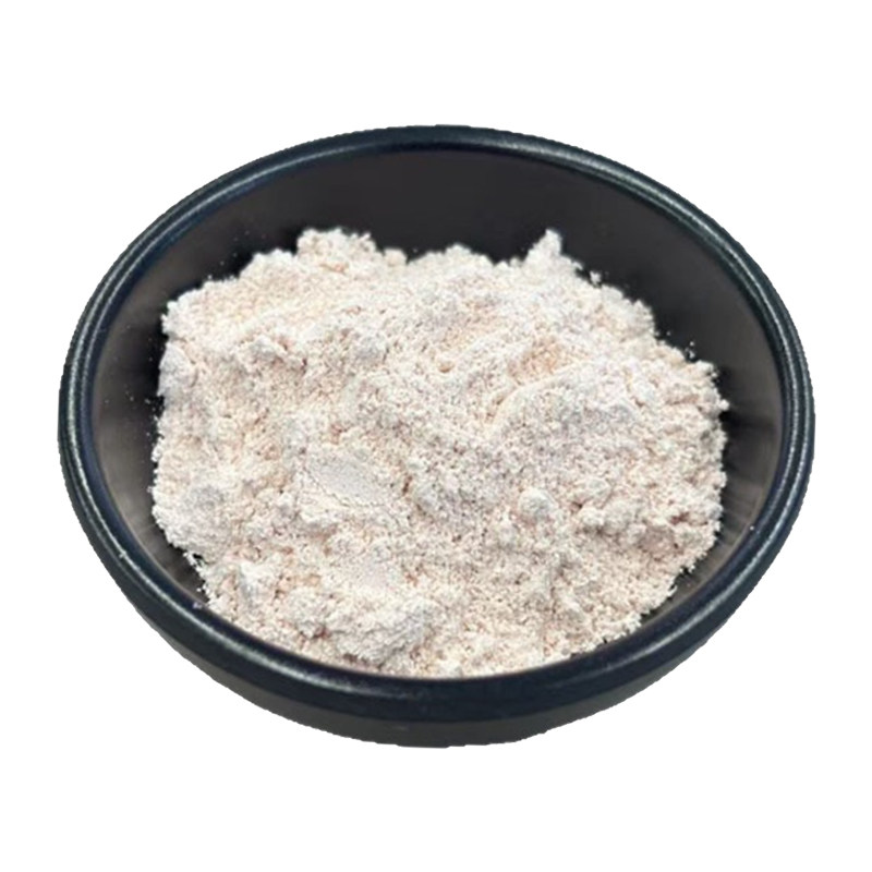 EGCG儿茶素98%表没食子儿茶素酸酯 绿茶提取物食品级原料厂家现货