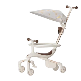 德拉玛滑板车儿童1-3岁6岁12岁宝宝一周岁四轮六合一平衡溜溜W1