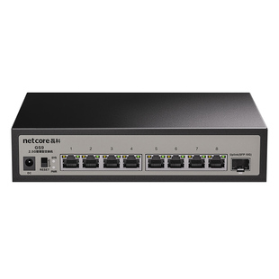 磊科2.5G交换机8口  万兆10G SFP+光口WEB管理型向下兼容千兆家用安防监控网线NAS高速传输分流器即插即用GS9