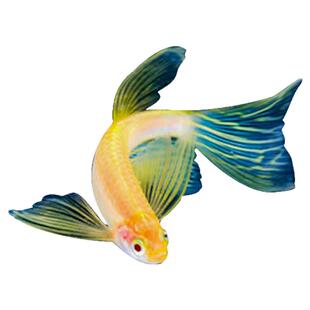 观赏鱼小型热带鱼大帆蝶翼长尾斑马鱼冷水鱼练手活体鱼苗荧光翡翠