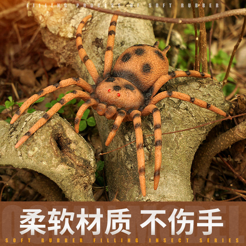 蝎子模型毒蝎玩具大号仿真昆虫儿童玩具动物蜘蛛蚱蜢瓢虫独角仙61