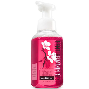 美国BBW柔和不伤手抗杀菌泡泡沫洗手液Bath&body works集合259ml