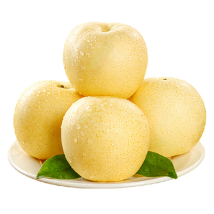 河北正宗皇冠梨新鲜梨子9斤香酥雪梨秋应当季月梨子新鲜水果包邮