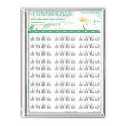 免胶款【自然小阳光】小阳光假睫毛