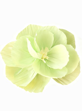 幼儿园班级纸花荷花扇花墙面墙饰