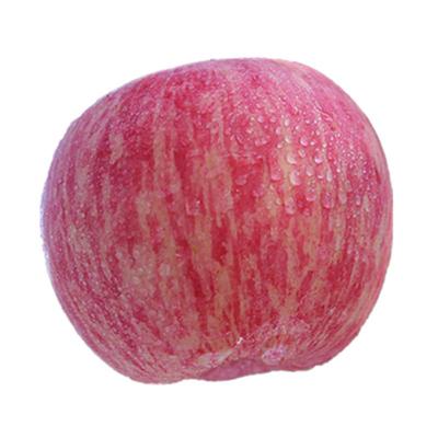 山东栖霞红富士优质大果净果10斤