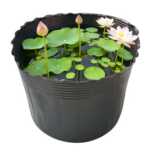 荷花盆营养钵无孔荷花盆水培加厚荷花盆加厚耐用营养钵育苗抗氧化