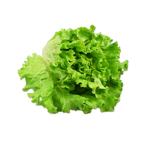 罗莎绿生菜250g 绿叶花叶生菜散叶生菜  西餐色拉沙拉蔬菜食材