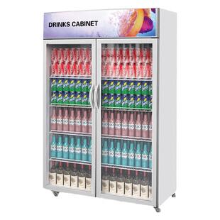 乐创风冷饮料展示柜商用啤酒冰箱冷柜立式冷藏保鲜柜双门三门冰柜