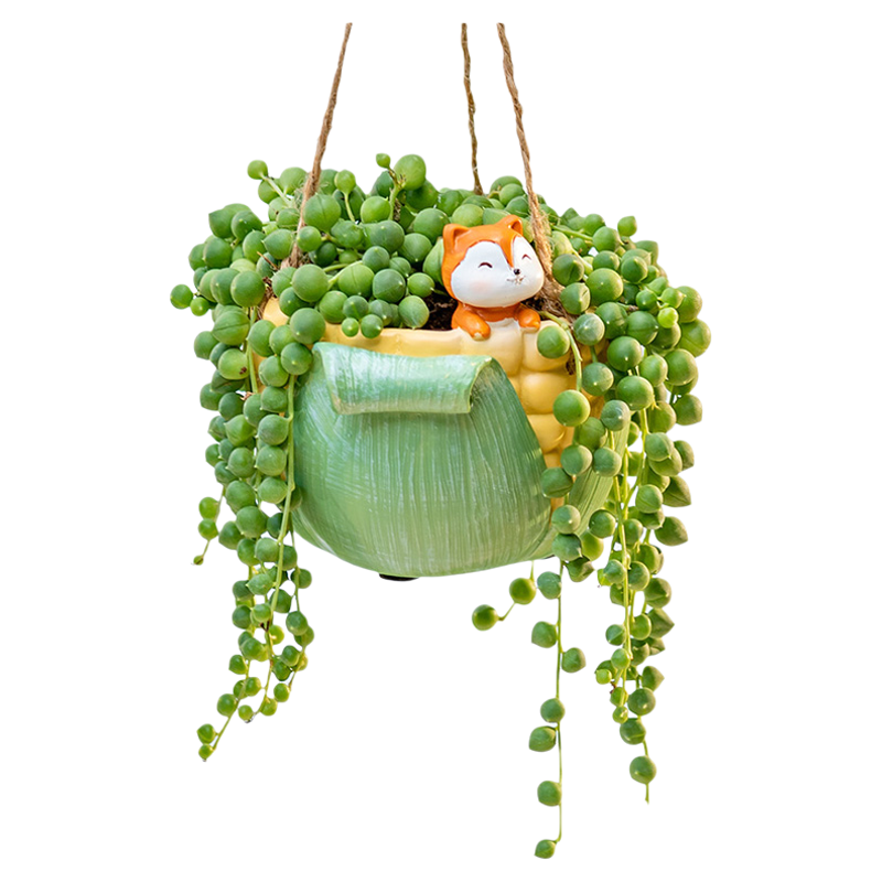 创意卡通垂吊多肉植物佛珠小盆栽花盆
